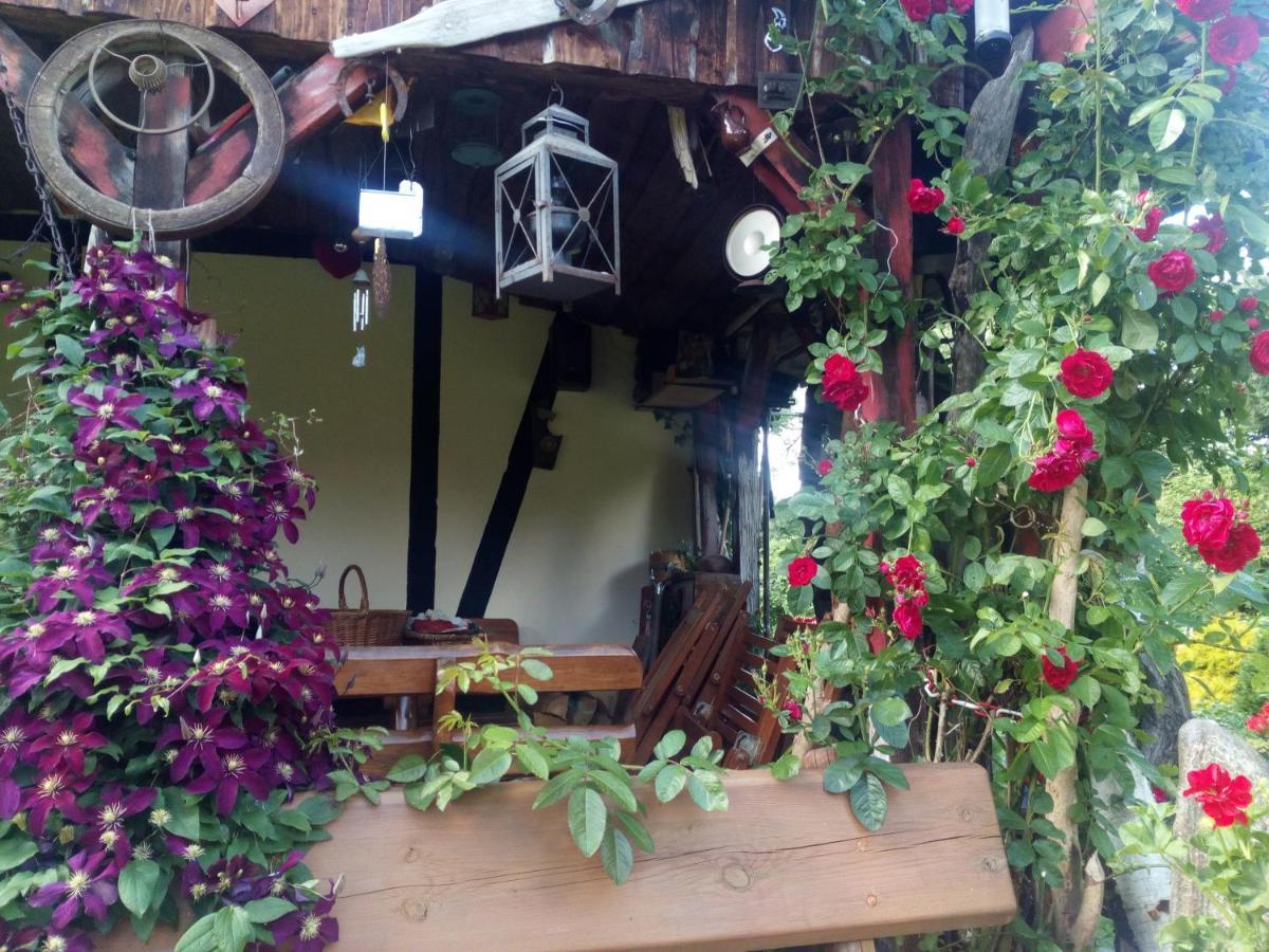 Pensjonat Kalina Komorze Exterior foto