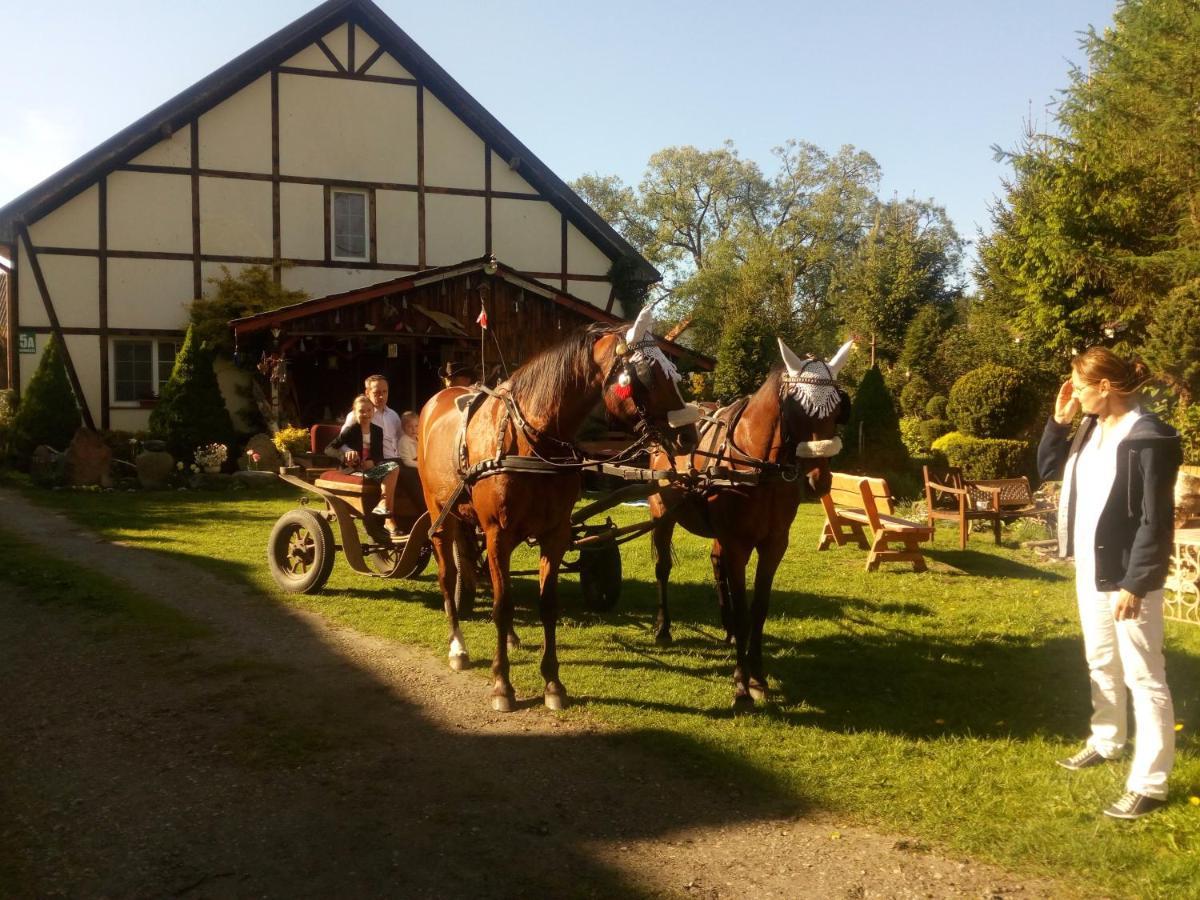 Pensjonat Kalina Komorze Exterior foto